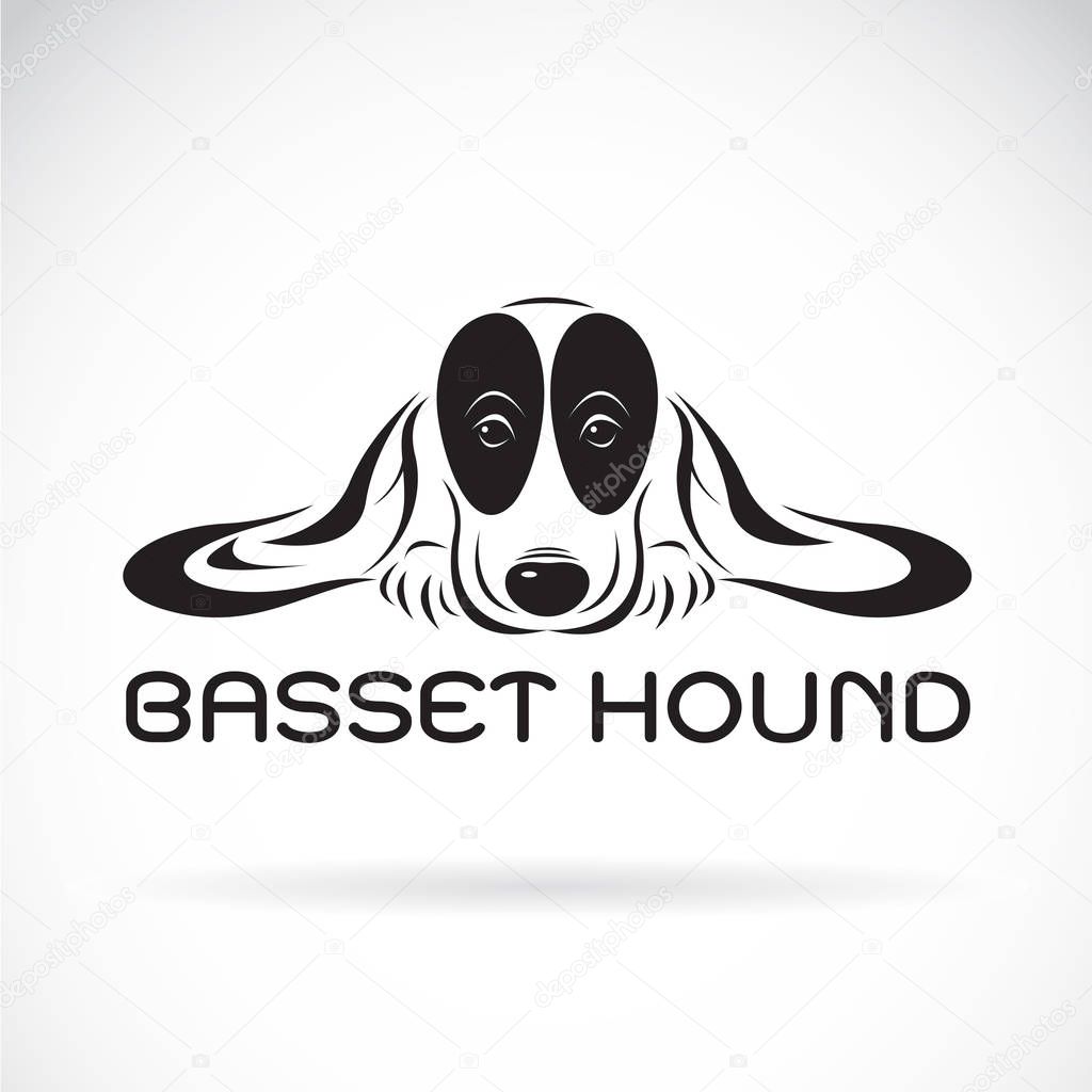 Vector of basset hound dog on a white background. Pet Animals
