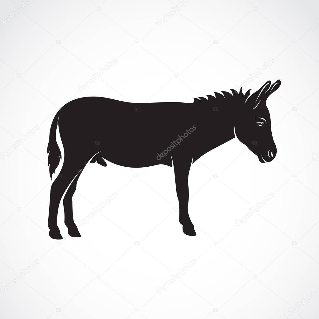 Vector of a donkey on white background. Wild Animals.