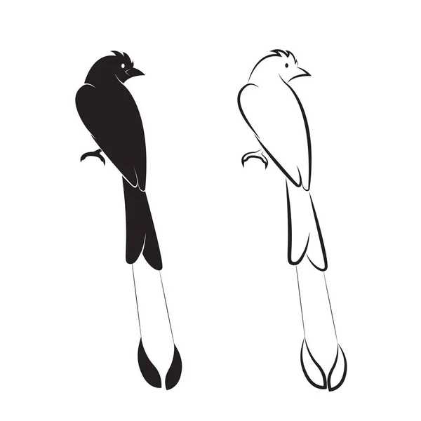 白い背景の上の鳥のベクトル。鳥のアイコン。(大きいラケット- — ストックベクタ