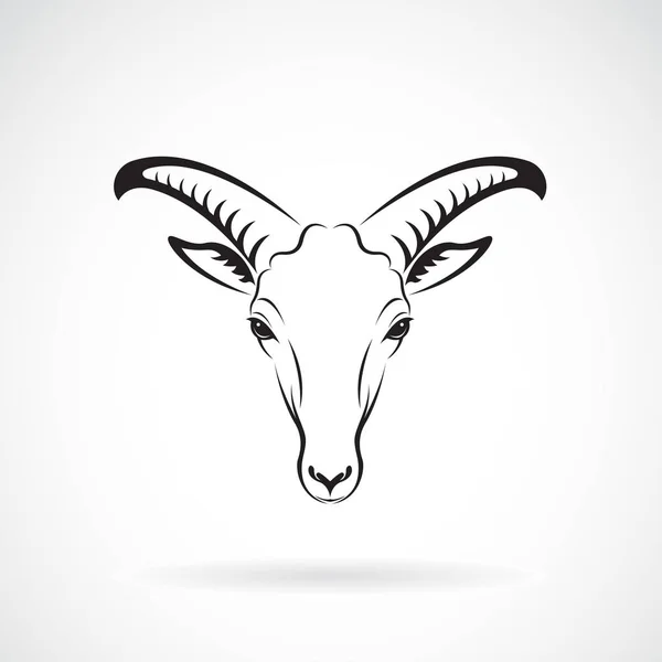 白い背景の上のヤギ山頭のベクトル。野生動物 — ストックベクタ