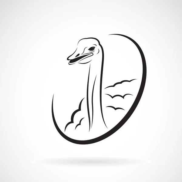 Vector van struisvogelontwerp op witte achtergrond. Logo. Wilde dieren — Stockvector