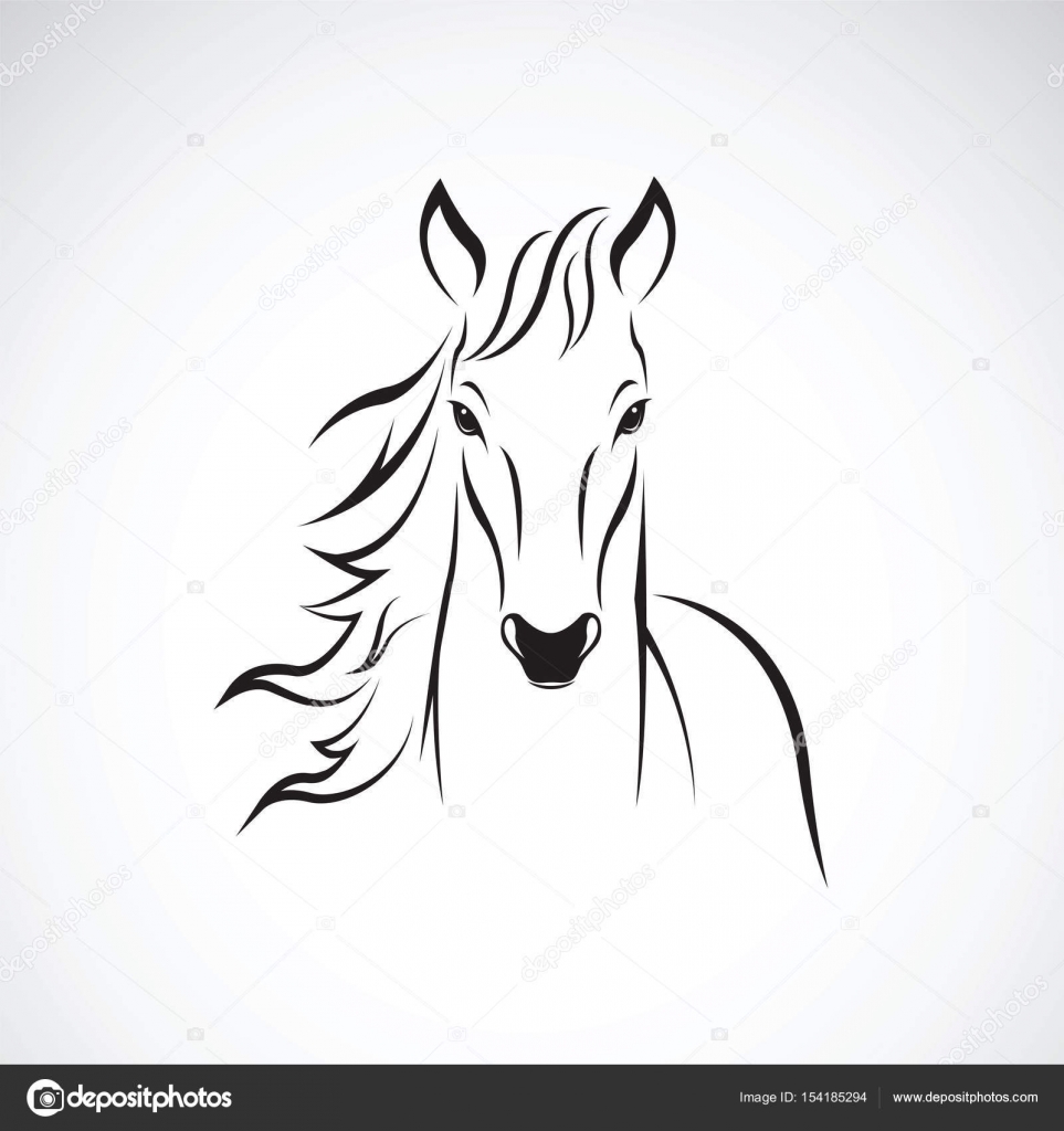 Vector of a horse head on white background. Wild Animal