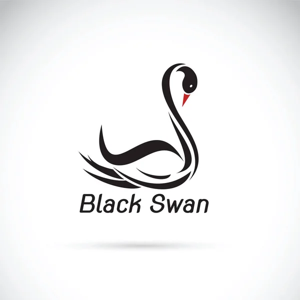 Vector de un cisne negro sobre fondo blanco. Animales salvajes. — Vector de stock