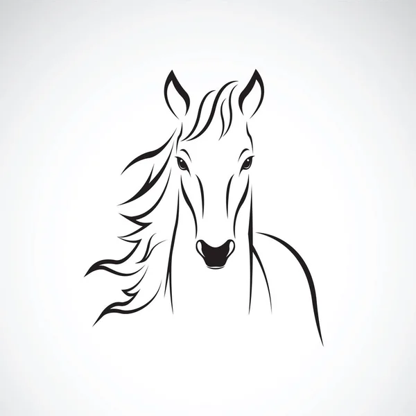 Διάνυσμα αλόγου σε λευκό φόντο. Άγρια ζώα. — Διανυσματικό Αρχείο