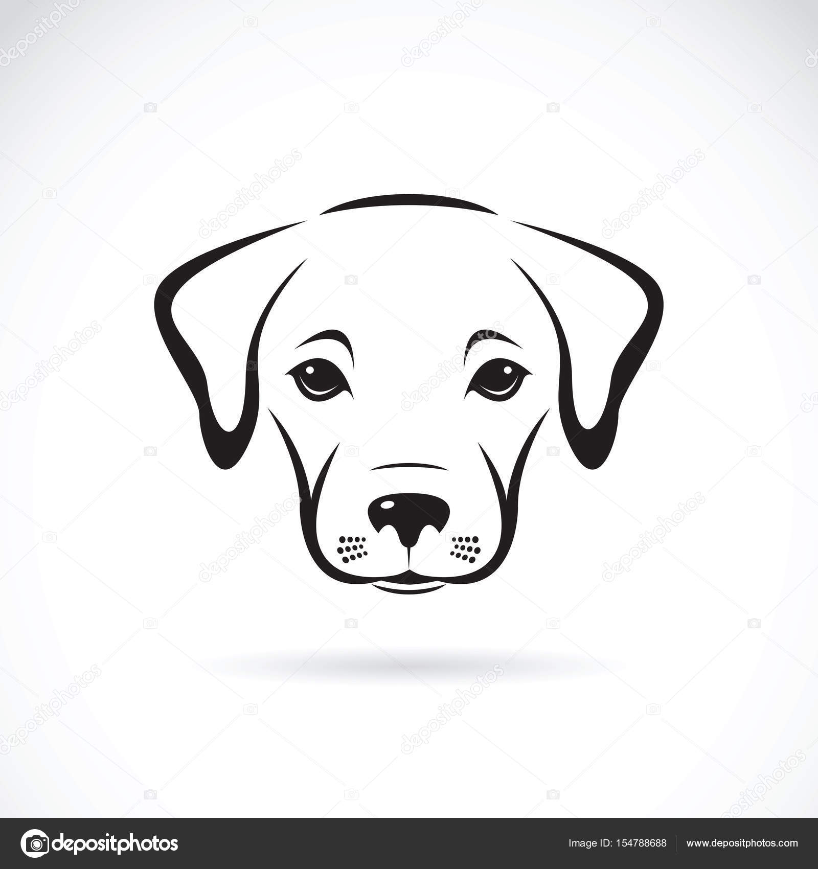 Vettore Di Una Faccia Del Cucciolo Di Labrador Su Priorità