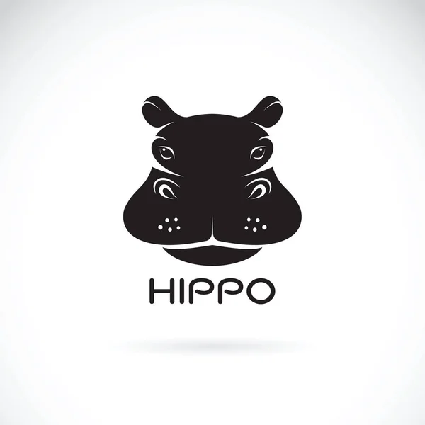 Vecteur de visage hippopotame sur fond blanc, Animaux Sauvages. — Image vectorielle