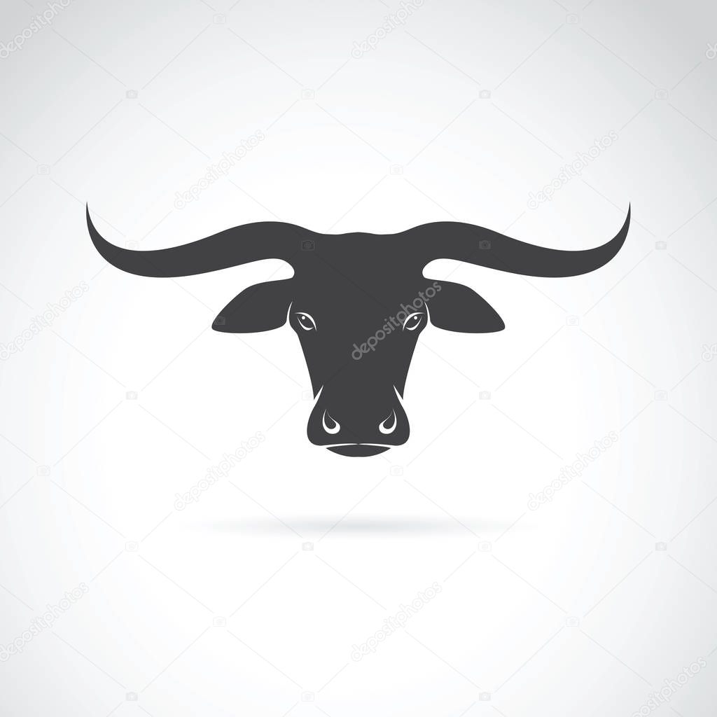 Vector of a bull head design on white background, Farm Animals.