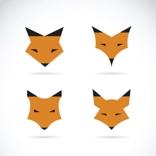 Вектор лисицы на белом фоне. Дикая Анита