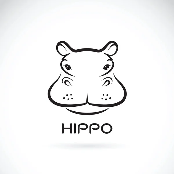 Vector van een hippo gezicht ontwerp op witte achtergrond. Wilde dieren. — Stockvector