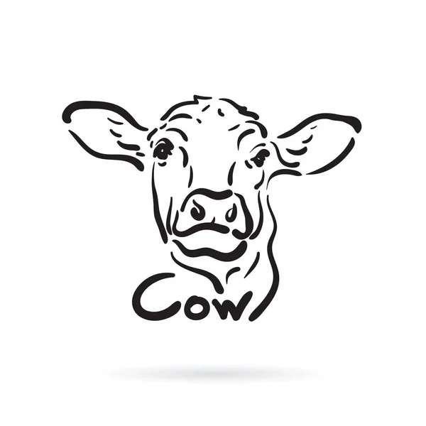 Vector of hand drawn cow on white background. Farm Animal. — Stock Vector