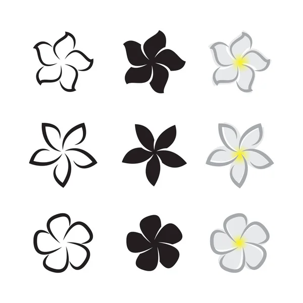 Διάνυσμα της τροπικά λουλούδια frangipani (Πλουμέρια) σε λευκό έκφραση — Διανυσματικό Αρχείο