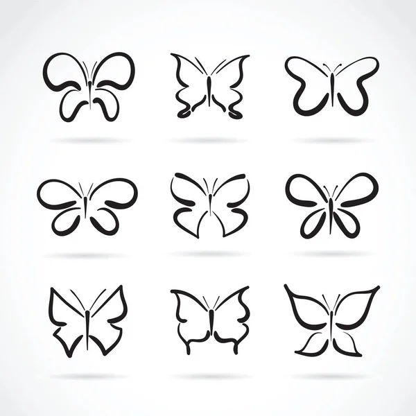 Grupo vetorial de borboleta desenhada à mão sobre fundo branco. Insetos — Vetor de Stock