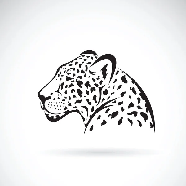 Vektor leoparda na bílém pozadí. Divoká zvířata. — Stockový vektor
