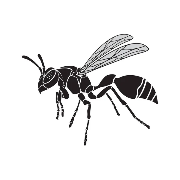 Vector de avispa sobre fondo blanco. Insecto animal — Archivo Imágenes Vectoriales