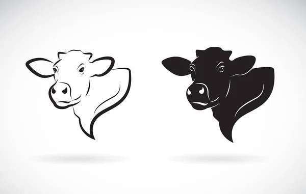 Vettore di disegno testa di mucca su sfondo bianco. Animali da fattoria. — Vettoriale Stock