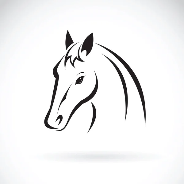 Vector de una cabeza de caballo sobre fondo blanco. Animales salvajes — Vector de stock