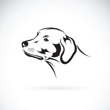 Beyaz arka planda, Pe dog Head'a (Labrador Retriever) vektör