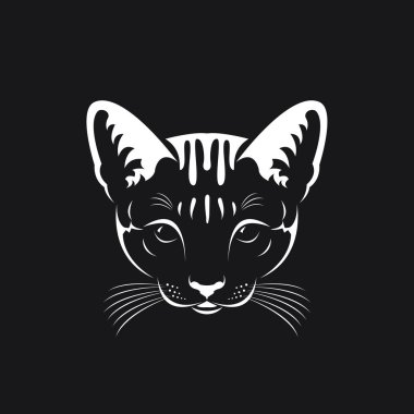 Bir kedi yüz siyah arka plan, Pet hayvanlar üzerinde vektör.