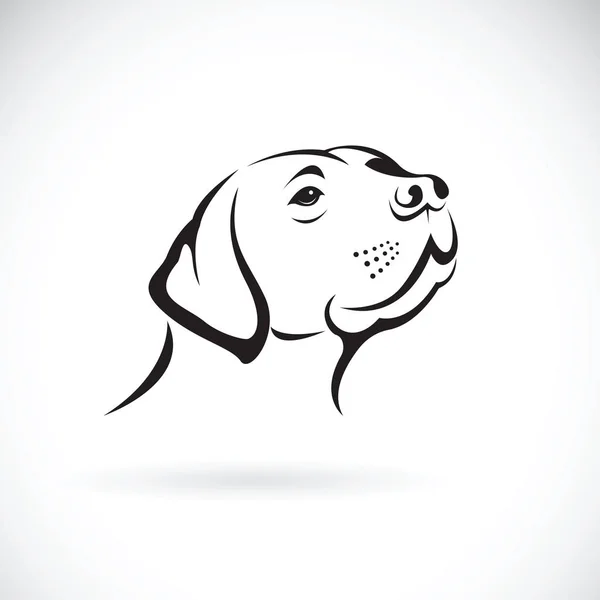 白い背景に、Pe の犬頭 (ラブラドール ・ レトリバー) のベクトル — ストックベクタ