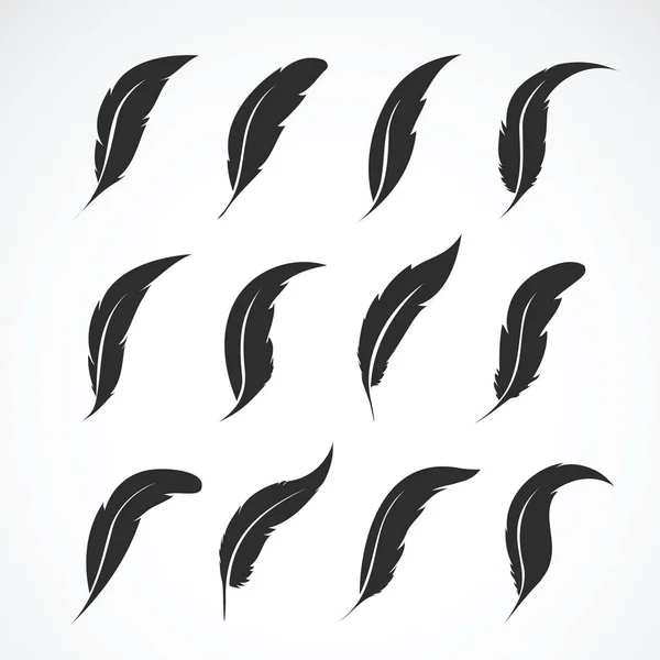 Grupo vectorial de plumas sobre fondo blanco. Icono. Plumas simbólicas — Vector de stock