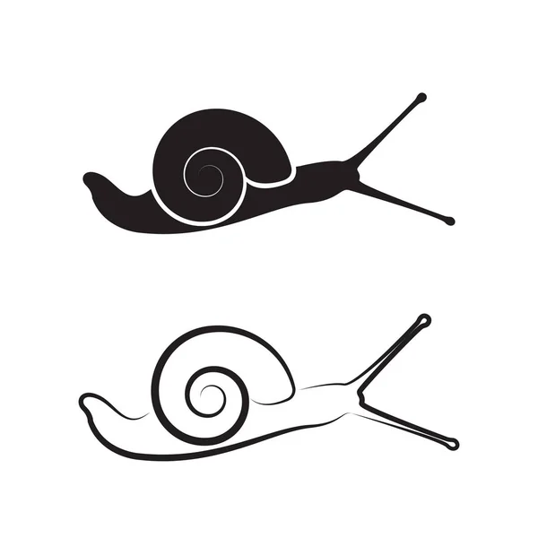 Vector de un caracol sobre fondo blanco. Animales reptiles . — Vector de stock