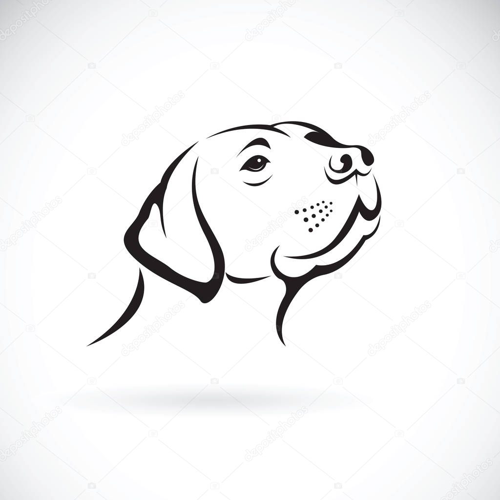 Vector of a dog head(Labrador Retriever) on white background, Pet. Animals.