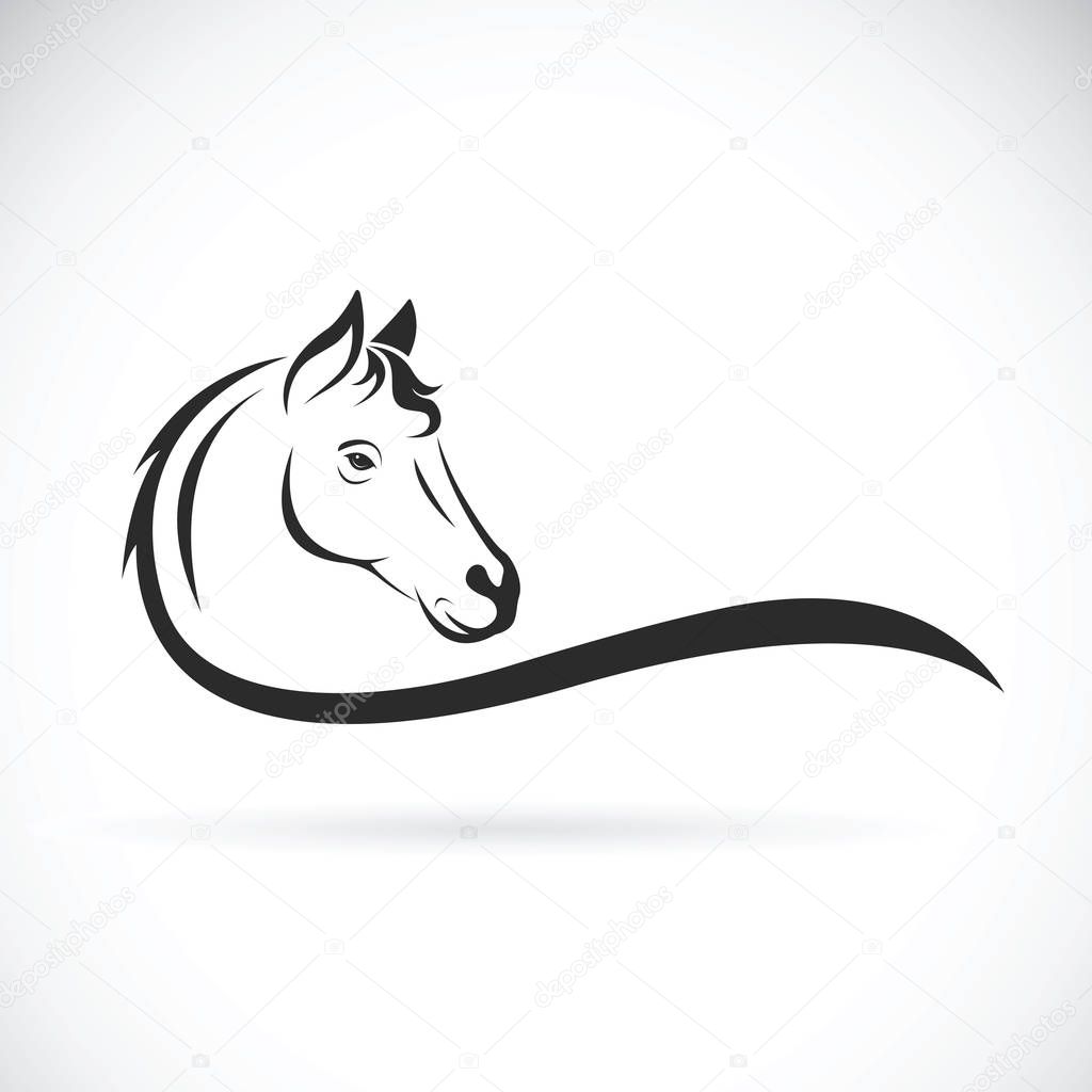 Vector of a horse head on white background. Wild Animal