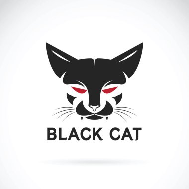 Beyaz arka planda kedi yüz tasarımı taşıyıcısı. Hayvan Hayvanı.