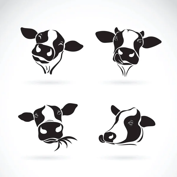 El grupo vectorial del diseño de la cabeza de vaca sobre el fondo blanco. Granja Anim — Vector de stock