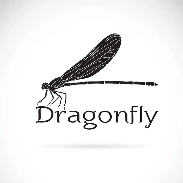 Вектор Vestalis cilis dragonfly (hypterygidae) на белом — стоковый вектор