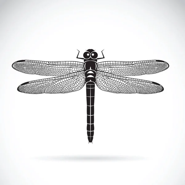 Vector de libélula sobre fondo blanco. Insecto animal. — Archivo Imágenes Vectoriales