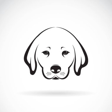 Beyaz arka planda Labrador köpeği başkanı, Hayvan Hayvanı.