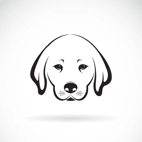 Vector de Cabeza de perro Labrador sobre fondo blanco, Animal doméstico. — Vector de stock