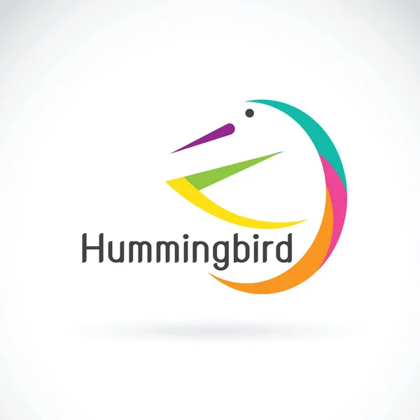Vetor de humming design pássaro no fundo branco, logotipo do pássaro . — Vetor de Stock