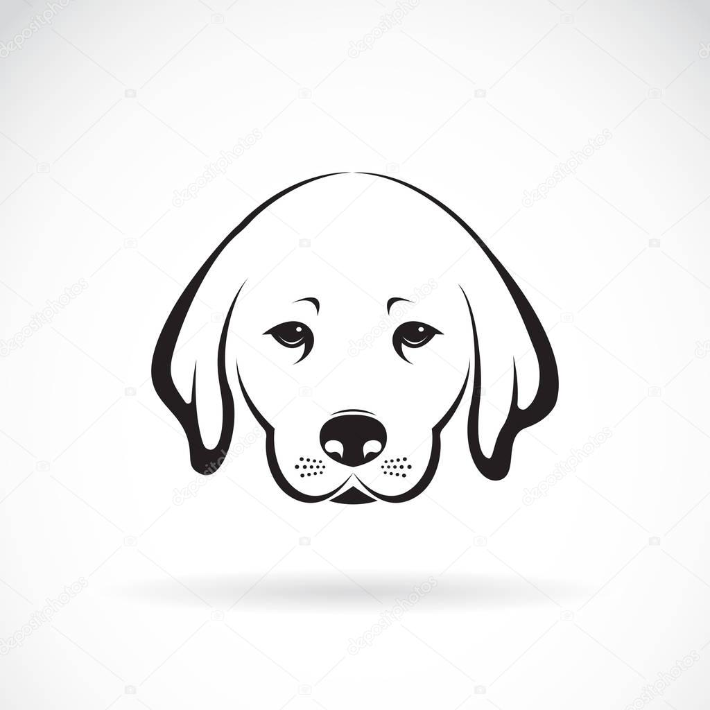 Vector of Labrador dog head on white background, Pet Animal.