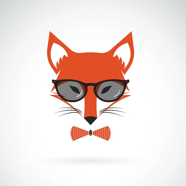 Vector of fox wearing glasses on white background. Animal fashio — Stock Vector