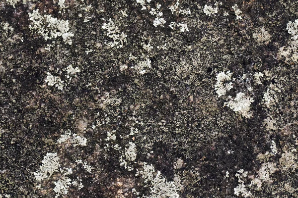 Doğal taş doku arka plan görüntüsü. Kaya zemin