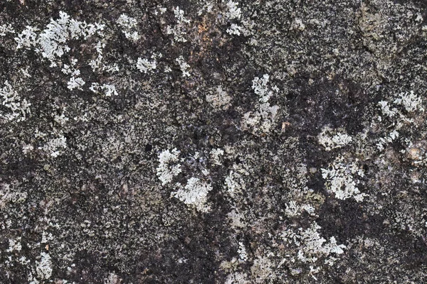 Doğal taş doku arka plan görüntüsü. Kaya zemin — Stok fotoğraf