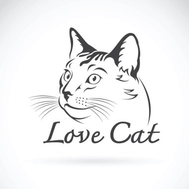 Beyaz arka planda sevimli kedi taşıyıcısı. Hayvan, Hayvan..