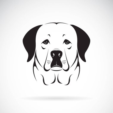 Beyaz arka planda, Pe dog Head'a (Labrador Retriever) vektör