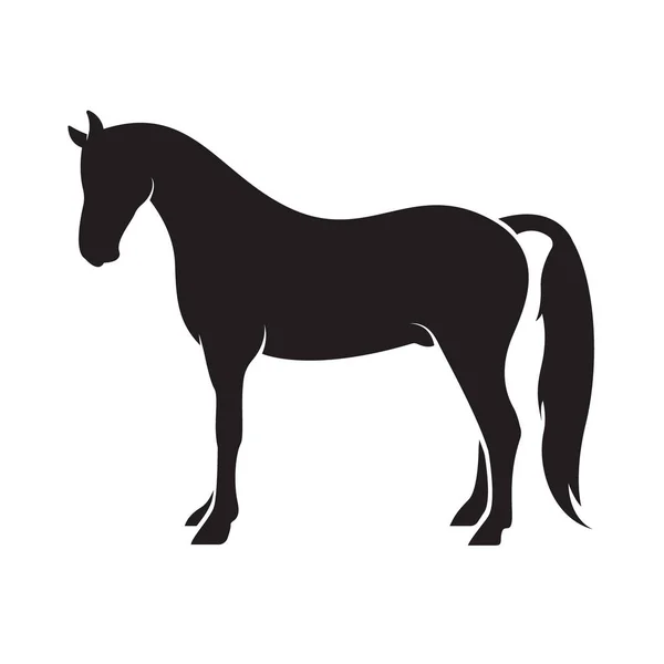 Vetor de um cavalo isolado sobre fundo branco. Animais . — Vetor de Stock