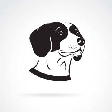 Beyaz arka planda bir av köpeği kafası taşıyıcısı. Evcil hayvan. Hayvanlar.