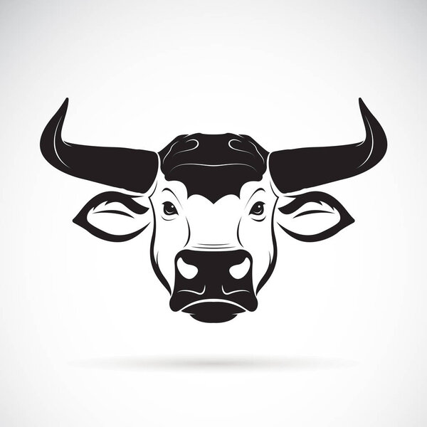 Vector of a bull head on a white background. Wild Animals.