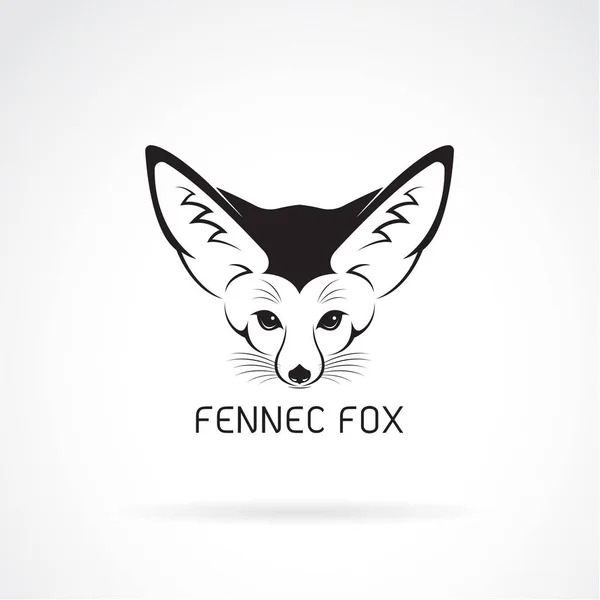 Vector de Fennec cabeza de zorro sobre un fondo blanco. Animales salvajes. — Vector de stock
