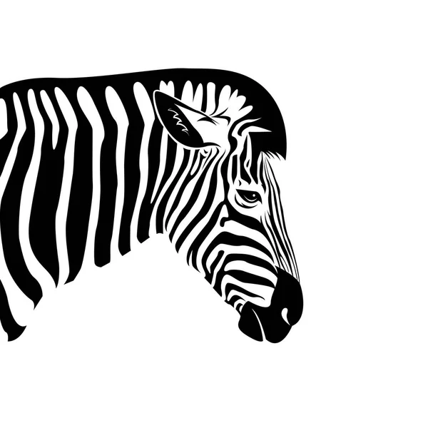 Vektor Zebra hlavy na bílém pozadí. Divoká zvířata. — Stockový vektor