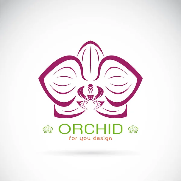 Διάνυσμα λογότυπου Orchid σε λευκό φόντο. Άνθος. — Διανυσματικό Αρχείο