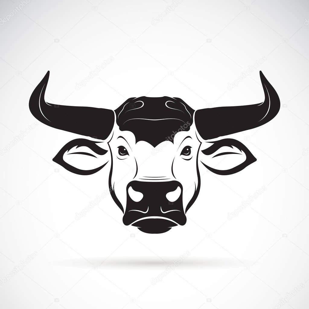 Vector of a bull head on a white background. Wild Animals.