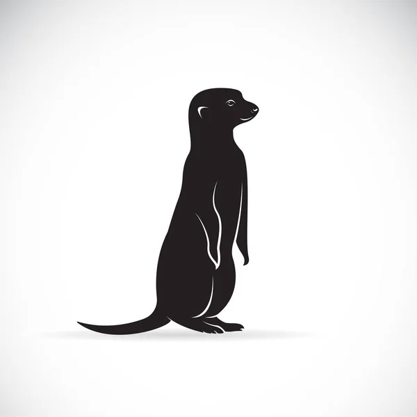 Vetor de projeto de meerkats em fundo branco. Animais selvagens . —  Vetores de Stock