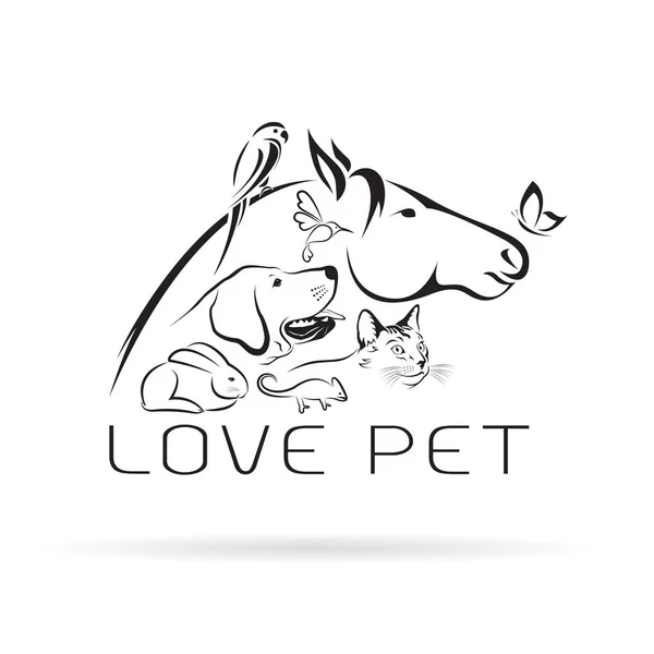 Grupo vectorial de mascotas - Caballo, perro, gato, pájaro, mariposa, chamele — Vector de stock