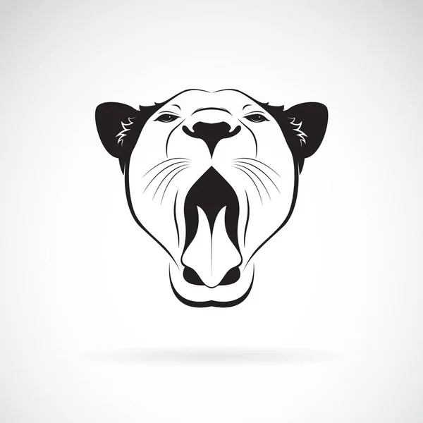 Vektor egy nőstény oroszlán nyitott száj a fehér háttér előtt. Vad Ani — Stock Vector